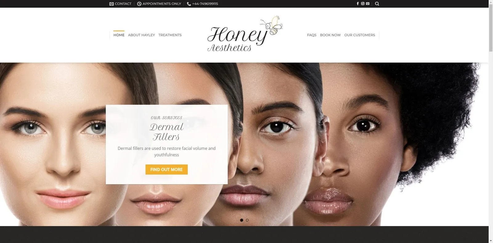 Honey Aesthetics website as delivered
