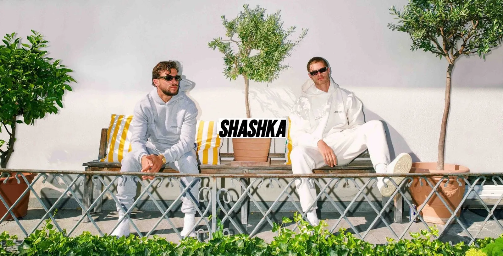 The Shashka Syndicate website as delivered